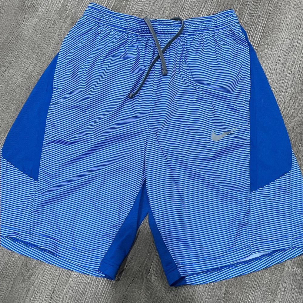 Nike Blue Striped Athletic Shorts